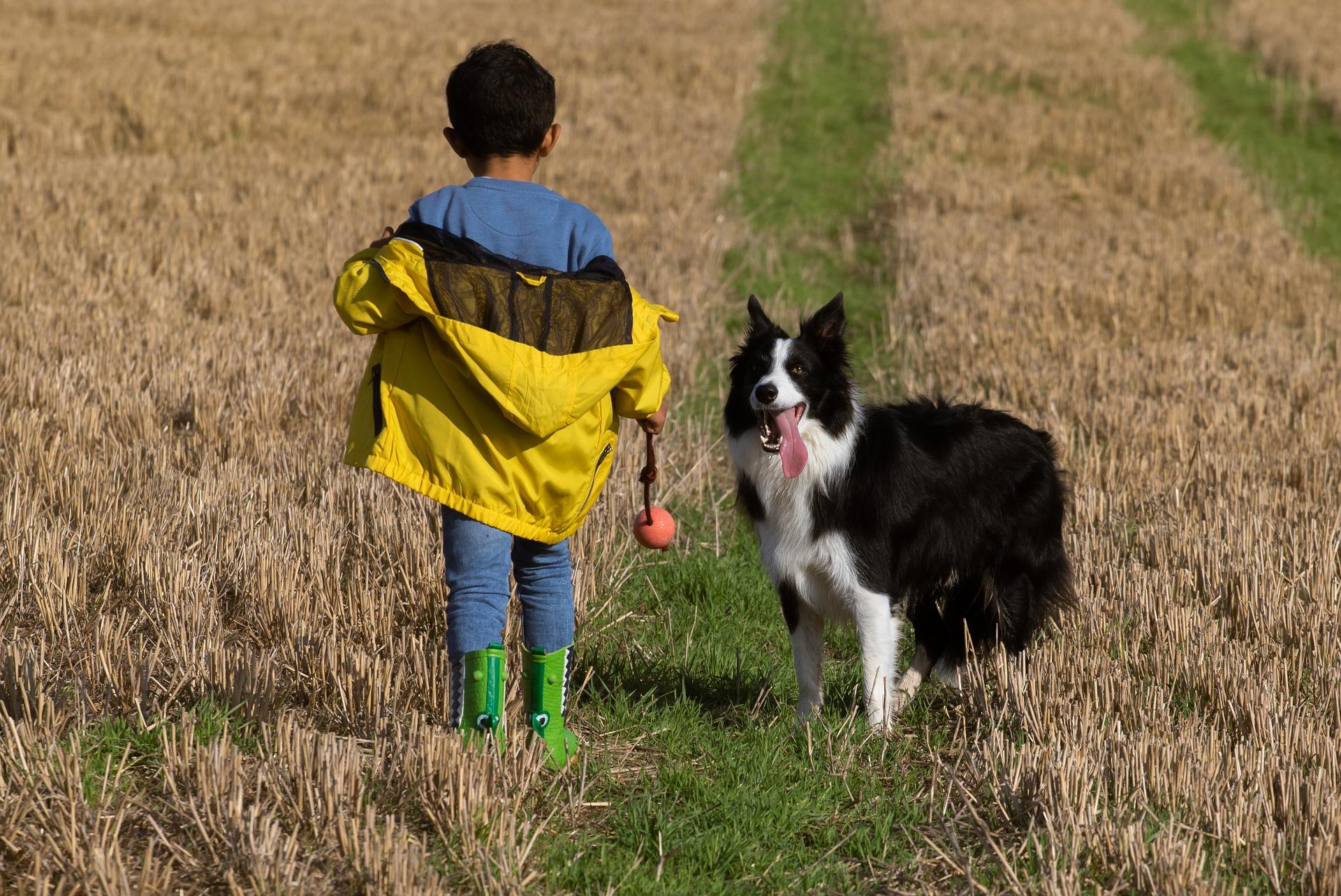 Calcifediolo e calcitriolo sciroppo, gocce uso veterinario